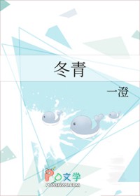 冬青树图片功效与作用